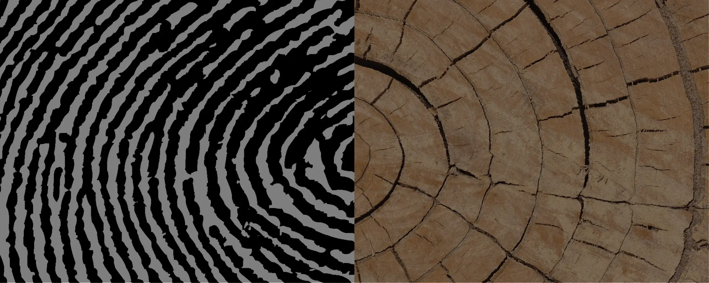 parallax background